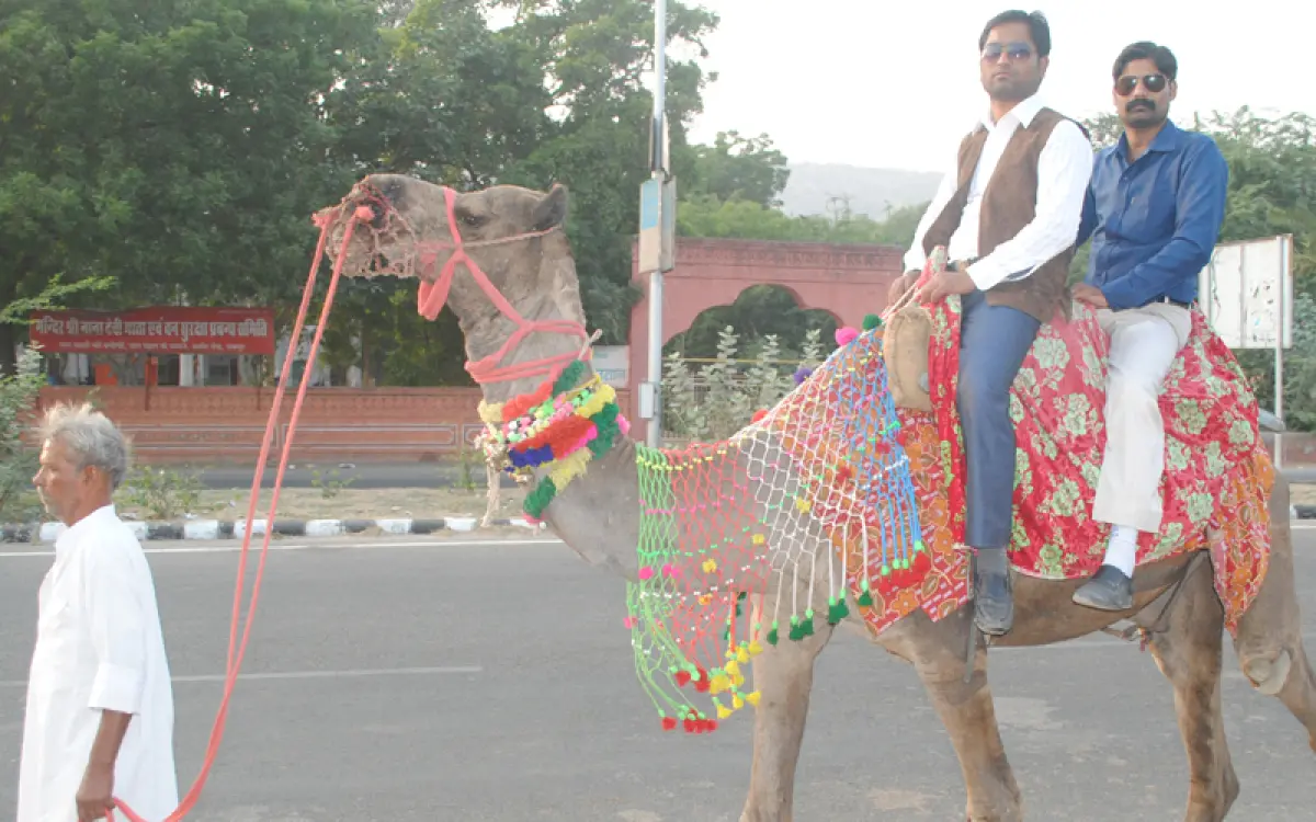 Jaipur Trip